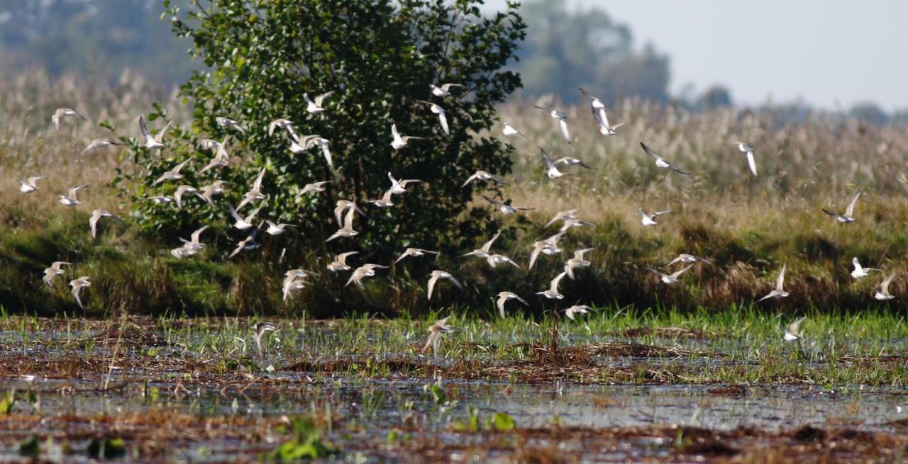 Pokoje Goscinne "Tak Lubisz" Gardna Wielka Exteriör bild